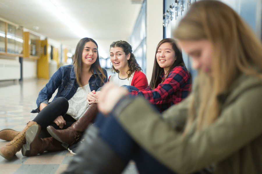 bullying in school