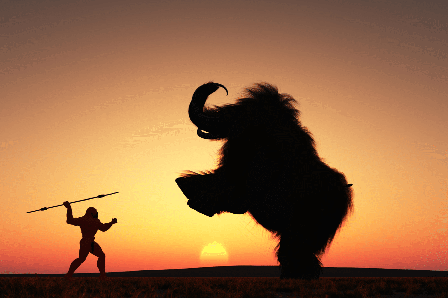 fight