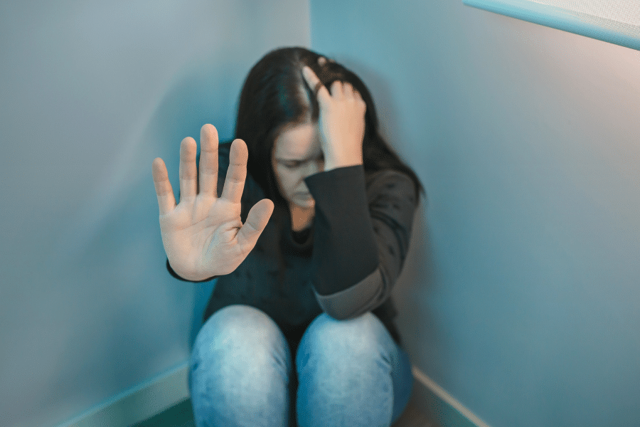 inside the bullied brain