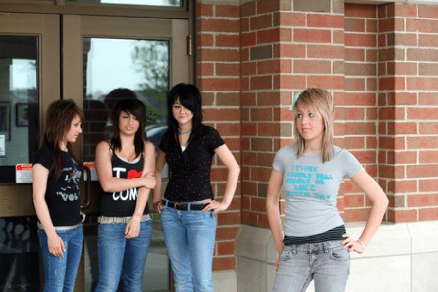 cliques and bullying in school