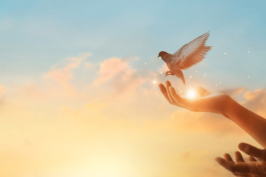 the importance of forgiveness in recovery