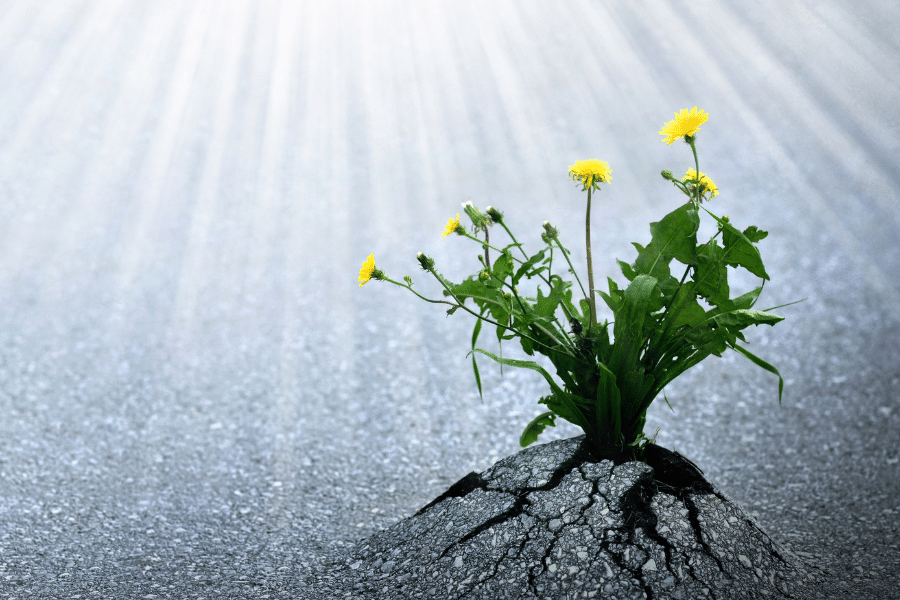 there's always hope